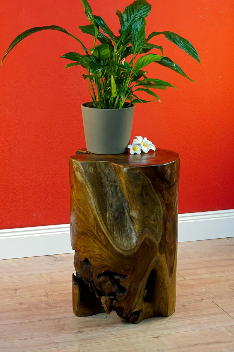Table d'appoint TOBELO en bois de racine - 40 cm - Tabouret à fleurs - Support pour le salon, le jardin d'hiver ou la terrasse et le jardin