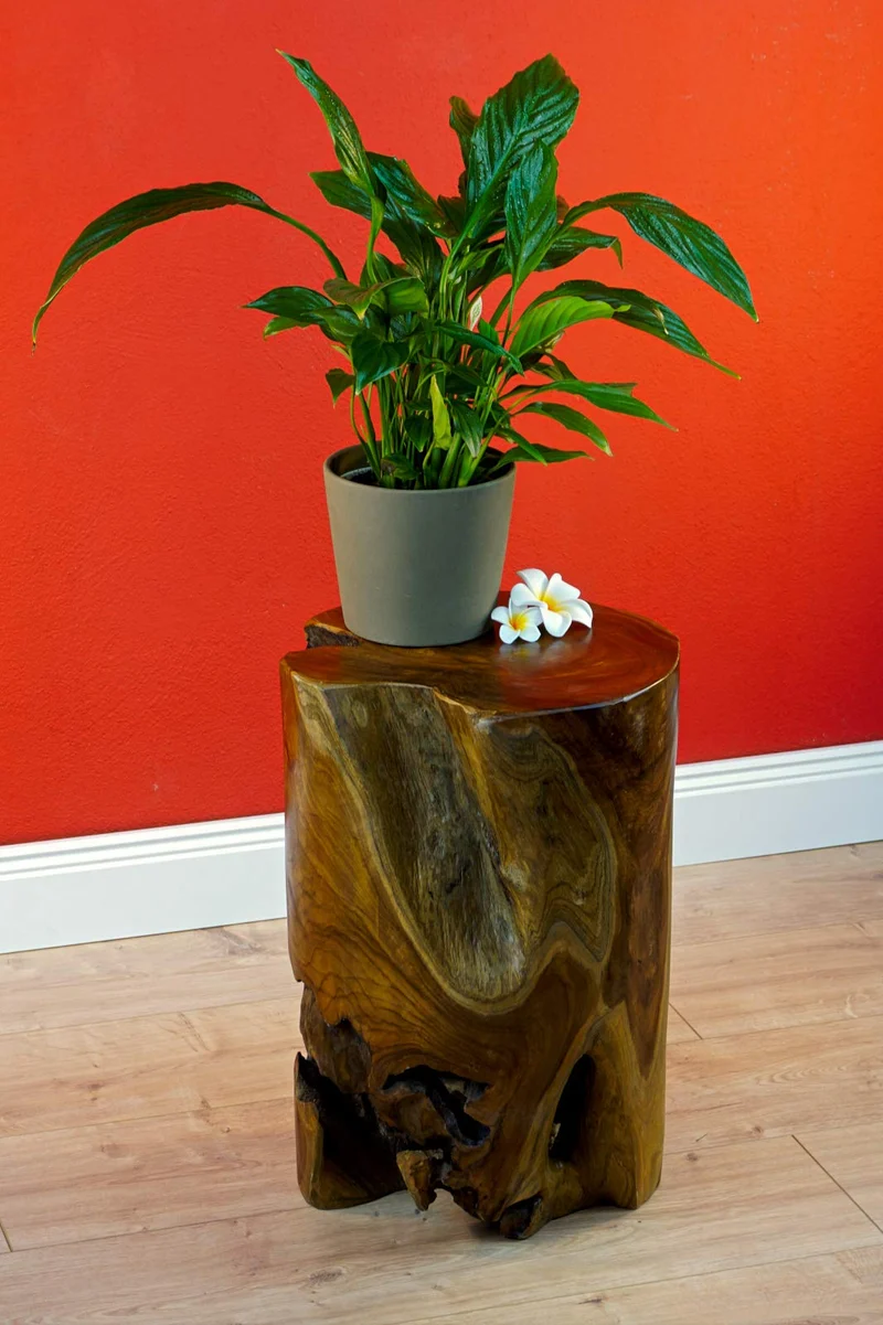 Table d'appoint TOBELO en bois de racine - 40 cm - Tabouret à fleurs - Support pour le salon, le jardin d'hiver ou la terrasse et le jardin
