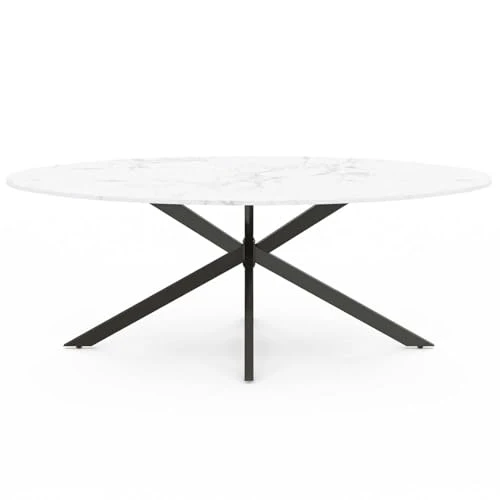 IDMarket - Table à Manger Ovale Alix 10 Personnes Pied araignée Noir et Plateau Effet marbre Blanc Alaska 200 cm