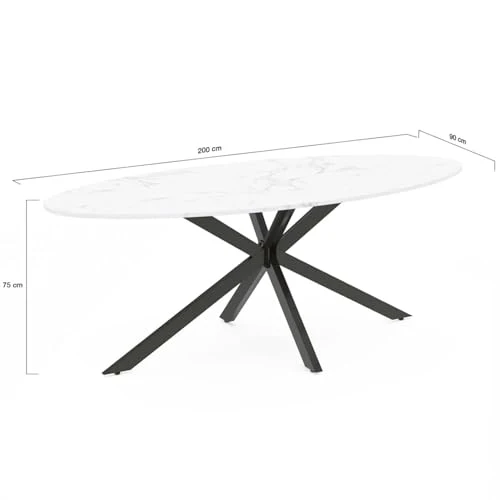 IDMarket - Table à Manger Ovale Alix 10 Personnes Pied araignée Noir et Plateau Effet marbre Blanc Alaska 200 cm