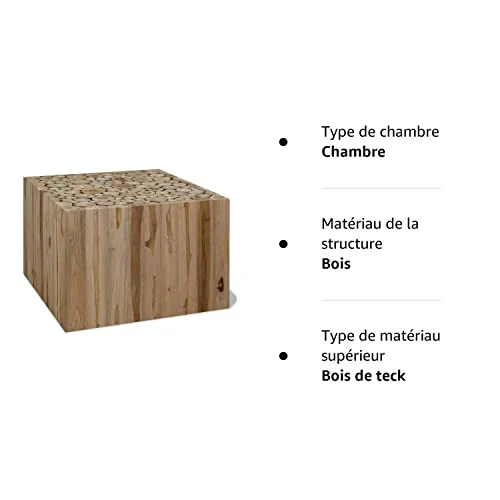 vidaXL Teck Authentique Table Basse 50x50x35 cm Table d'Appoint Meuble Canapé