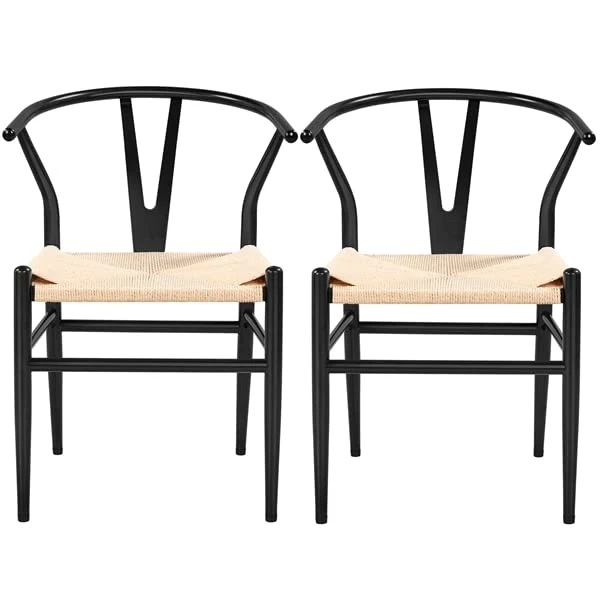 Abician Lot de 2 Chaises de Salle à Manger Corde de Papier Cadre en Métal Ensemble de Chaises en Corde Intérieur Dossier Demi-Circulaire Cuisine Salon 54,5 × 57 × 73,5 cm Noir