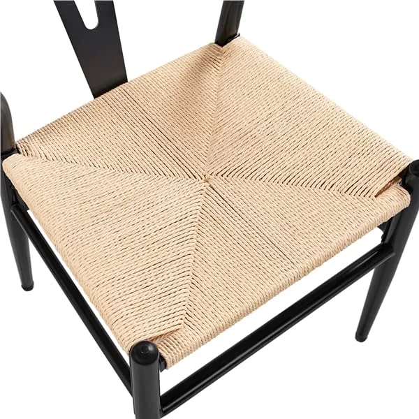 Abician Lot de 2 Chaises de Salle à Manger Corde de Papier Cadre en Métal Ensemble de Chaises en Corde Intérieur Dossier Demi-Circulaire Cuisine Salon 54,5 × 57 × 73,5 cm Noir
