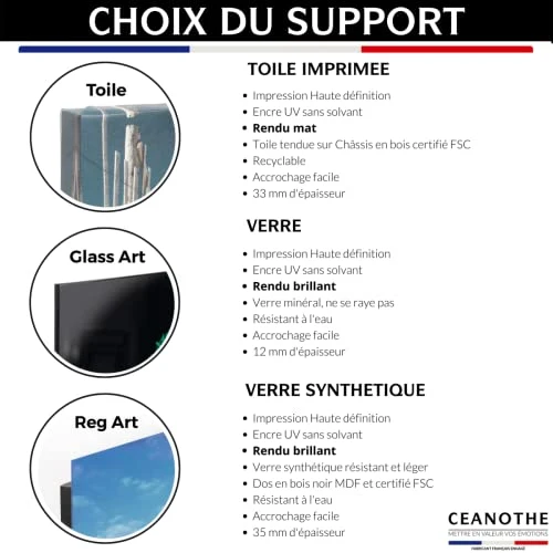 Ceanothe Tableau sur verre synthétique bison 65x97 cm - Impression sur Verre synthétique - Image HD imprimée sur Verre synthétique - Tableau mural décoratif - Fabriqué en France