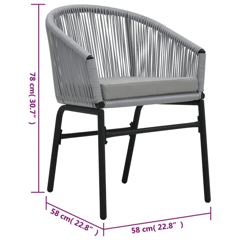 vidaXL 2X Chaises de Jardin Chaises de Terrasse Chaises de Patio Chaises d'Extérieur Sièges d'Extérieur Meuble de Jardin Anthracite Rotin PE