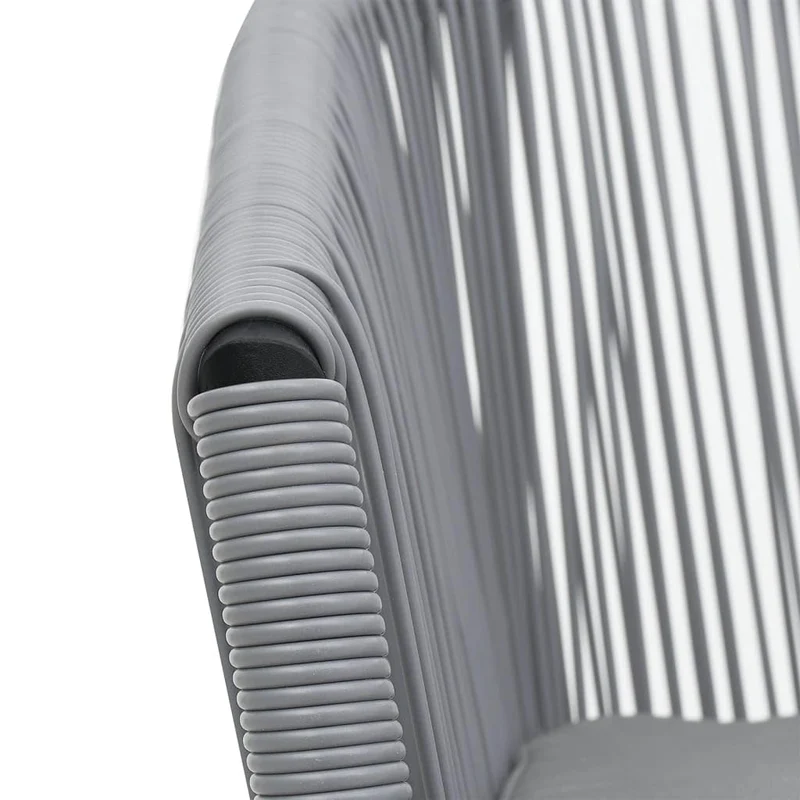 vidaXL 2X Chaises de Jardin Chaises de Terrasse Chaises de Patio Chaises d'Extérieur Sièges d'Extérieur Meuble de Jardin Anthracite Rotin PE
