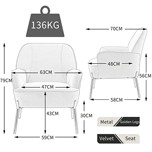 SEPNINE Fauteuil de Salon Moderne en Velours - pour Salon et Chambre à Coucher - Jusqu'à 135 kg (Gris)