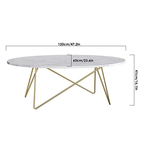 FirFurd Table Basse de Salon Effet Marbré Ovale Table de Canapé Table a Café Bas en Bois et Métal Piédestal Table d'Appoint Nordique Scandinave 120x60x41cm