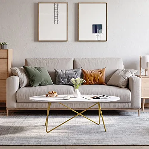 FirFurd Table Basse de Salon Effet Marbré Ovale Table de Canapé Table a Café Bas en Bois et Métal Piédestal Table d'Appoint Nordique Scandinave 120x60x41cm