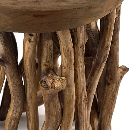 DESIGN DELIGHTS Table DAPPOINT Woods | Bois dacajou, 45x30 cm | Table Basse, Table en Bois, Table de téléphone, Tabouret en Bois de Racine, Tabouret pour Plantes