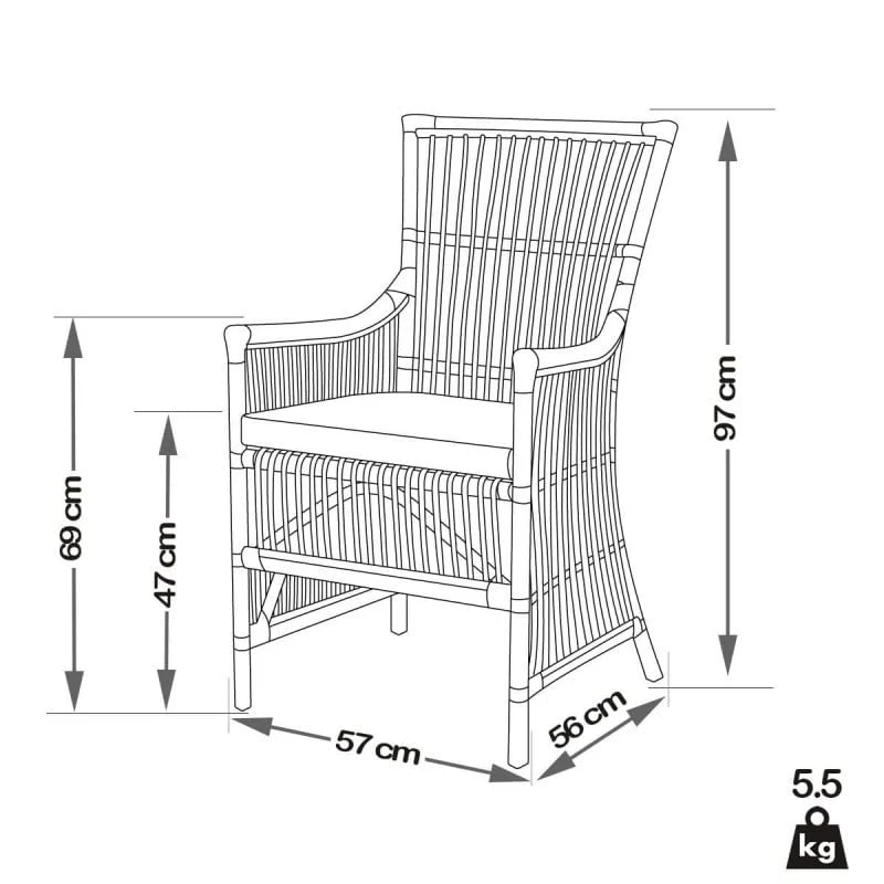 PACIFIC linea Fauteuil Amelie - Rotin