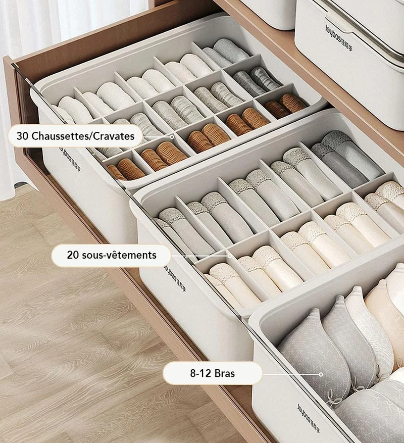 Joybos® Boîte de Rangement de Sous-vêtements et Chaussettes avec Couvercle Anti-poussière Z31