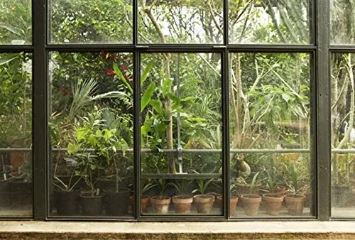 Scenolia Papier Peint Intissé Jardin et Patio Tropical 4 x 2,70m - Décoration Murale Effet Trompe l'Oeil - Revêtement Panoramique Tapisserie XXL - Pose Facile et Qualité HD