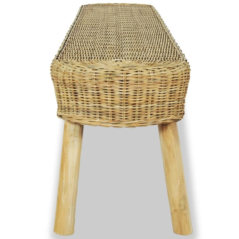 Festnight Banc de Jardin Banc d'entrée Meuble Décoration 160 x 35 x 45 cm en Rotin naturel