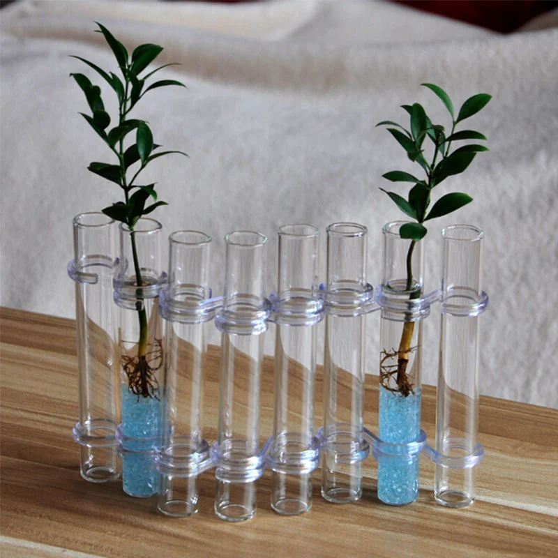 Vase Ajustable en Verre Transparent pour Décoration