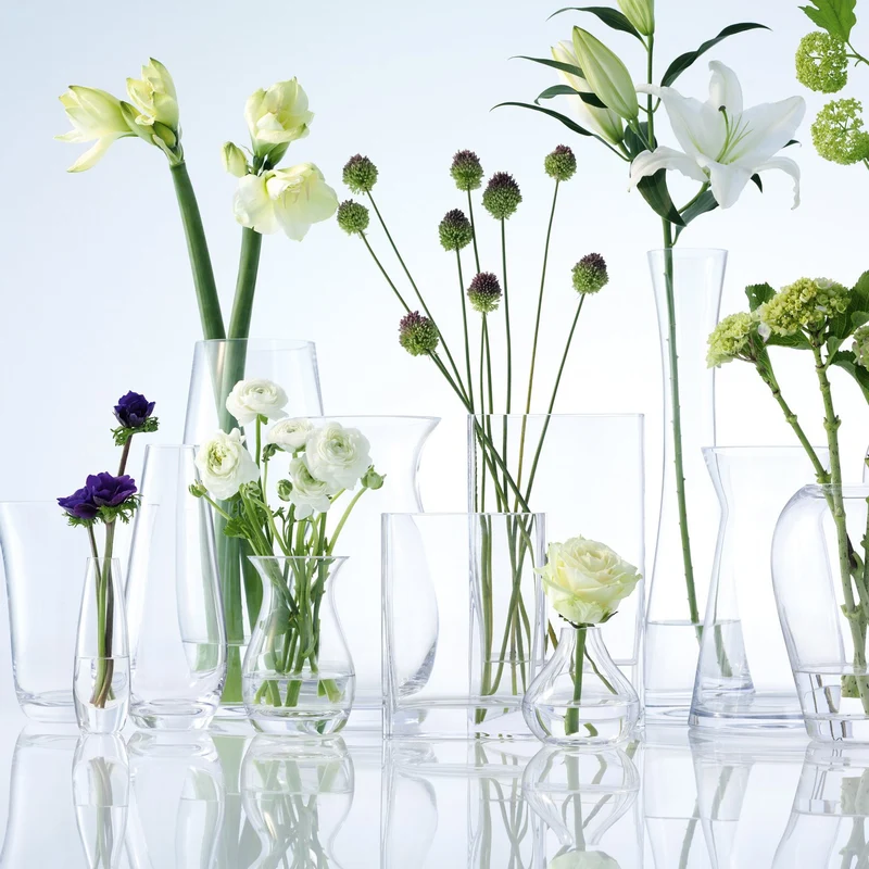 LSA Vase pour Petit Bouquet Transparent