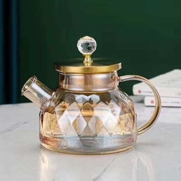 Bouilloire en Verre Borosilicate avec Couvercle en Inox
