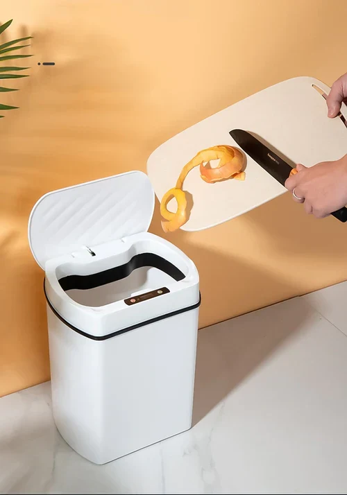 Poubelle Automatique Intelligente Basique