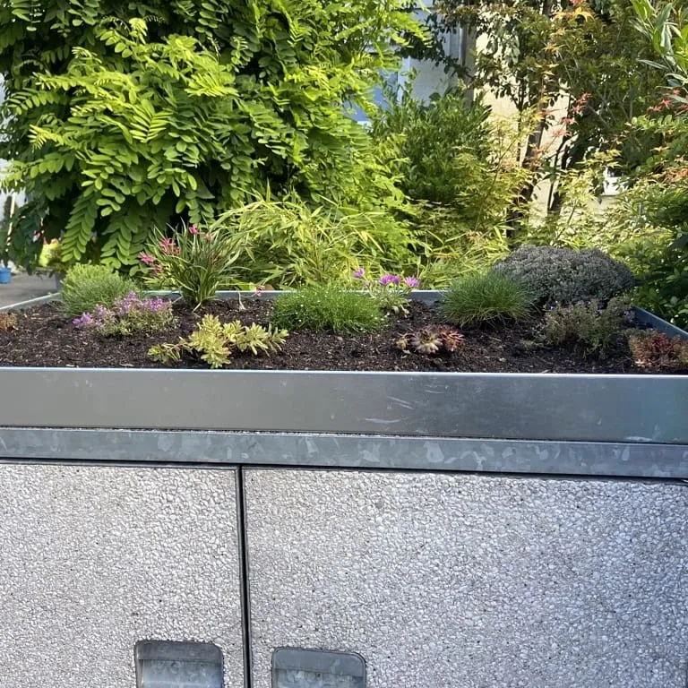 Pflanzwanne auf Maß Sonderanfertigung - Zink (Mülltonnenbox nicht enthalten)