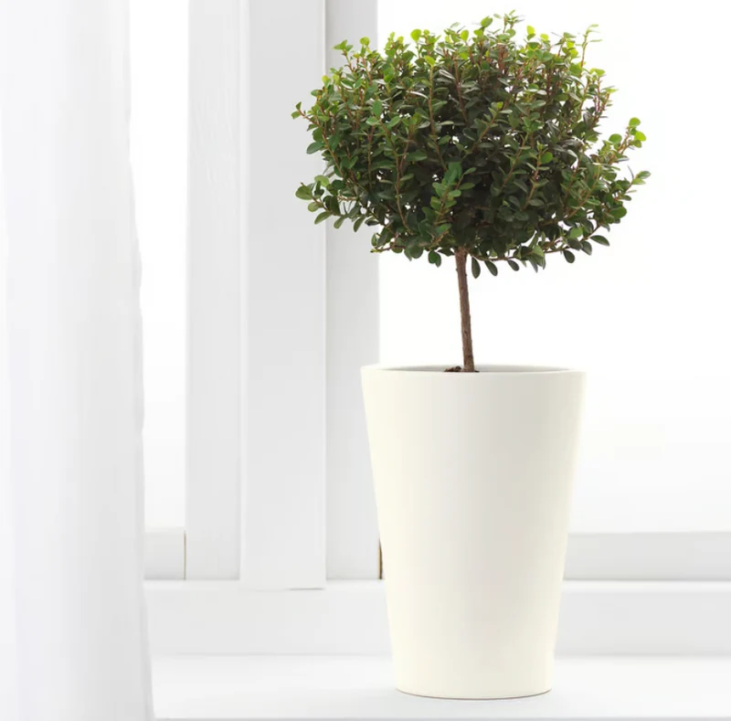 PAPAJA Plant pot, white, 12x19 cm