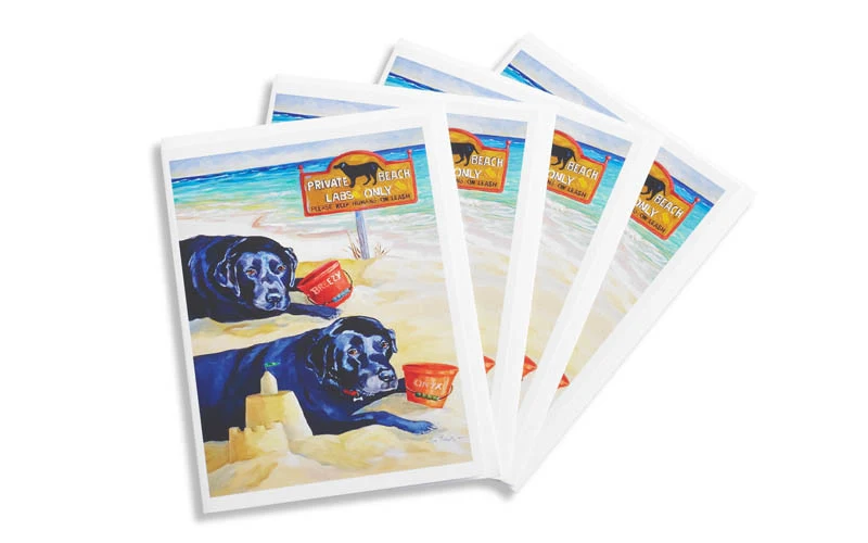 Note Cards