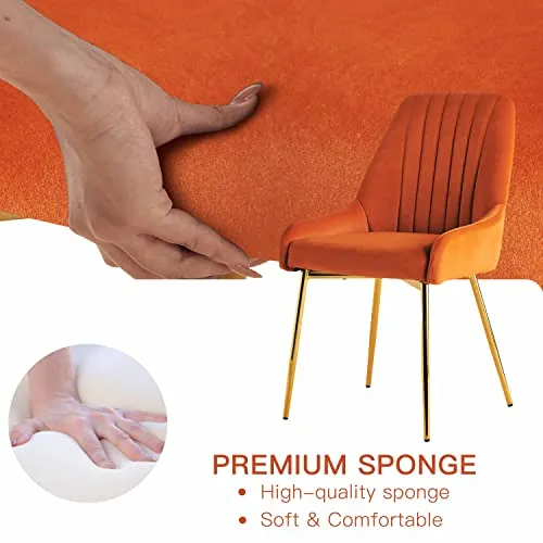 SEPNINE Salle à Manger 2 Pack, Chaises De Salon en Velours Moderne, Chaise De Salle à Manger RembourréE, Chaise RembourréE sans Bras, pour La Vanité De La Chambre De Cuisine