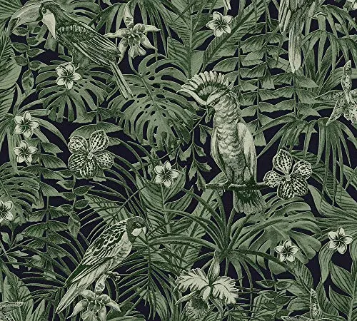 A.S. Création papier peint intissé Greenery papier peint effet jungle papier peint oiseau 10,05 m x 0,53 m vert noir 372101 37210-1