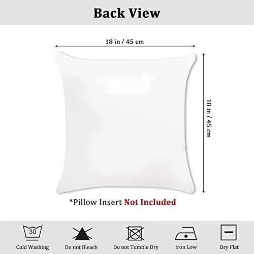 Bonhause Lot de 4 Housse de Coussin Feuilles d'eucalyptus 45 x 45 cm Plante Verte Velours Doux Décoratif Taie d'oreiller pour Canapé Lits Chaises Voiture Salon Maison Décor