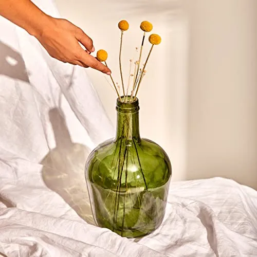 Vase Dame Jeanne 4L en Verre Lisse Couleur Vert Olive - Bouteille ou Carafe en Verre de Style Méditerranéen pour la Décoration de la Maison ou du Jardin comme Vase