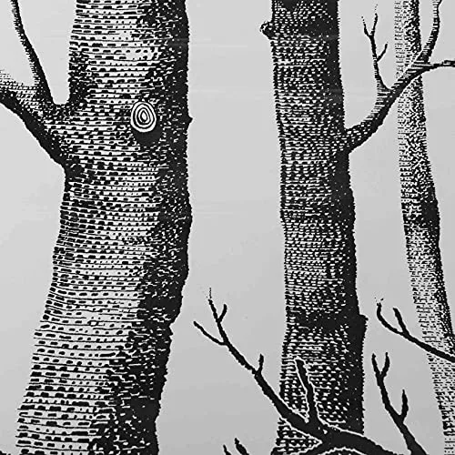 Wanjorlay Papier Peint Arbre de Bouleau Blanc Noir pour Chambre à Coucher Design Moderne Papier Peint Rouleau Papier Peint Bois ForêT Rustique