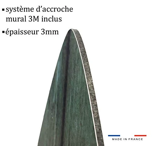 HXA DECO - Planche de Surf Décorative,Multi Choix,Décoration Murale,Impression sur Alu Dibond, Surf Rider, 150x40 cm