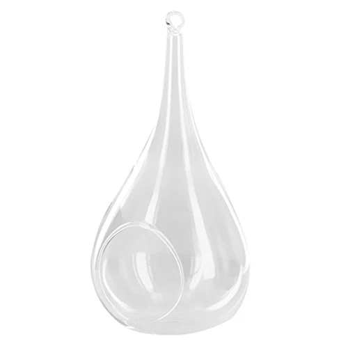 Vase Suspendu en Verre Transparent Conique pour Plantes Fleurs Décoration de Jardin Maison