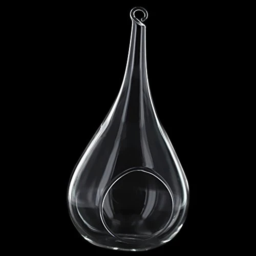 Vase Suspendu en Verre Transparent Conique pour Plantes Fleurs Décoration de Jardin Maison