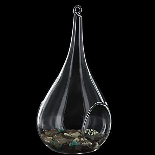 Vase Suspendu en Verre Transparent Conique pour Plantes Fleurs Décoration de Jardin Maison