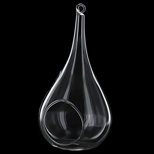 Vase Suspendu en Verre Transparent Conique pour Plantes Fleurs Décoration de Jardin Maison