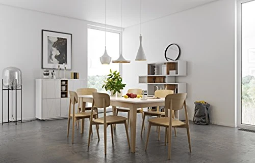 TemaHome Sally Lot de 2 chaises