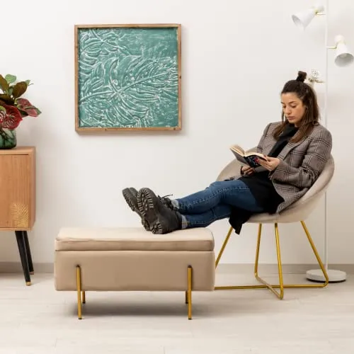 Baroni Home Home Coffre Pliant, Banc de Rangement, Pouf Repose-Pieds Velours Couleur Mesures 80X40X40 cm, Taupe