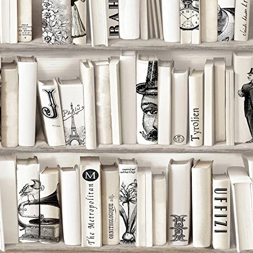 DICTONARY X 10 ROULEAUX DE PaPIER PEINT BIBLIOTHÈQUE