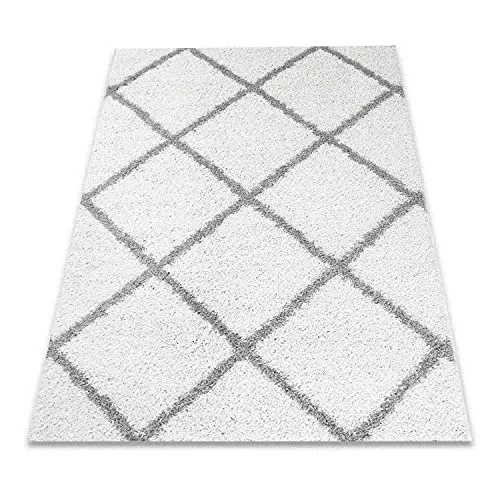 VIMODA Poils Longs Shaggy Tapis Rugueuse Design Crème Gris Moderne - Blanc, 160x220 CM