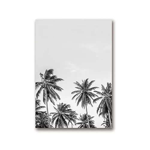 QIAOB Art Mural, Impression d'affiches sur Toile d'art de Feuille de Palmier Tropical, Photographie d'arbre de Palmier Tropical Peinture Photo Noir et Blanc décor à la Maison 30x40cmx3 Pas de Cadre