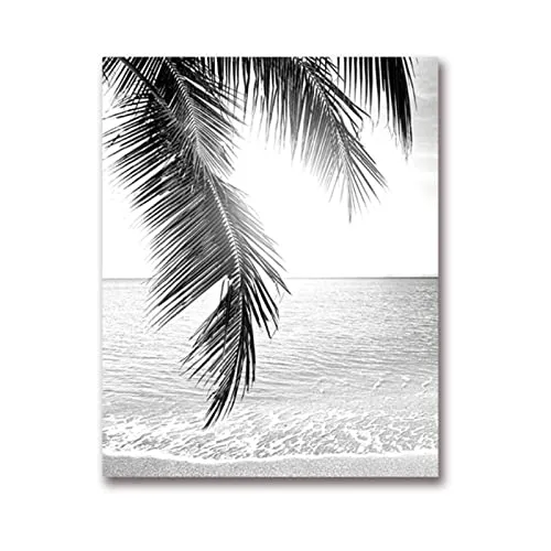 QIAOB Art Mural, Impression d'affiches sur Toile d'art de Feuille de Palmier Tropical, Photographie d'arbre de Palmier Tropical Peinture Photo Noir et Blanc décor à la Maison 30x40cmx3 Pas de Cadre