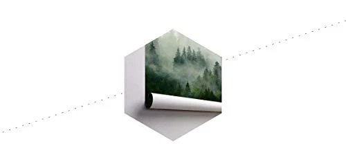 Muralo Papier Peint Forêt dans Le Brouillard 240 x 360 Vinyle Scène Brume Nature - 167720496