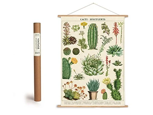 Cavallini Poster vintage avec baguettes en bois (cadre) et ficelle pour suspension Motif cactus