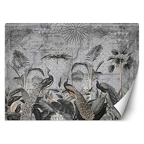 Carowall Photo Murale Intisse Abstrait Plantes Exotiques 350x245 cm gris Déco Murale Tableaux Muraux À La Maison Chambre à Coucher, Salon, Chambre D'amis Paons Ancienne Carte Oiseaux