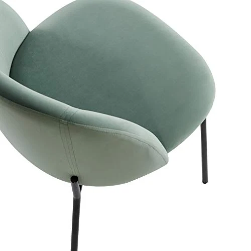 EMT CASA Lot de 2 Chaises Scandinave Chaise de Salle à Manger Chaises en Velours Rose Pieds en métal Imitation Bois (Vert)