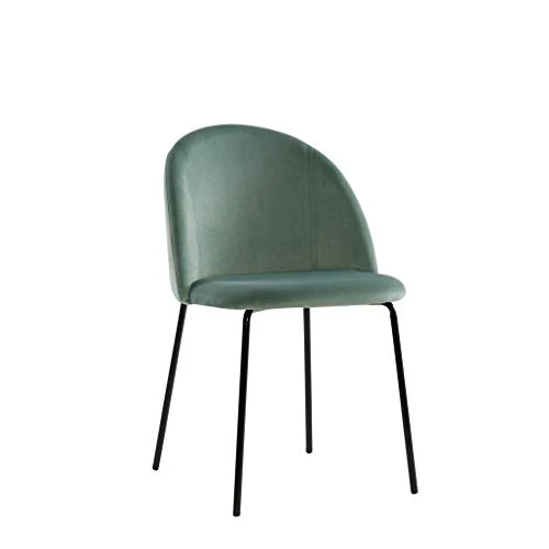EMT CASA Lot de 2 Chaises Scandinave Chaise de Salle à Manger Chaises en Velours Rose Pieds en métal Imitation Bois (Vert)