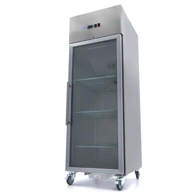 Congélateur - 700 L - 3 étagères (2/1 GN) - acier inoxydable - avec porte en verre