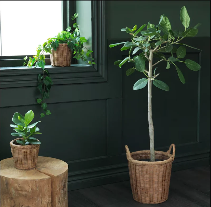 KAKTUSFIKON Plant pot, rattan, 12 cm