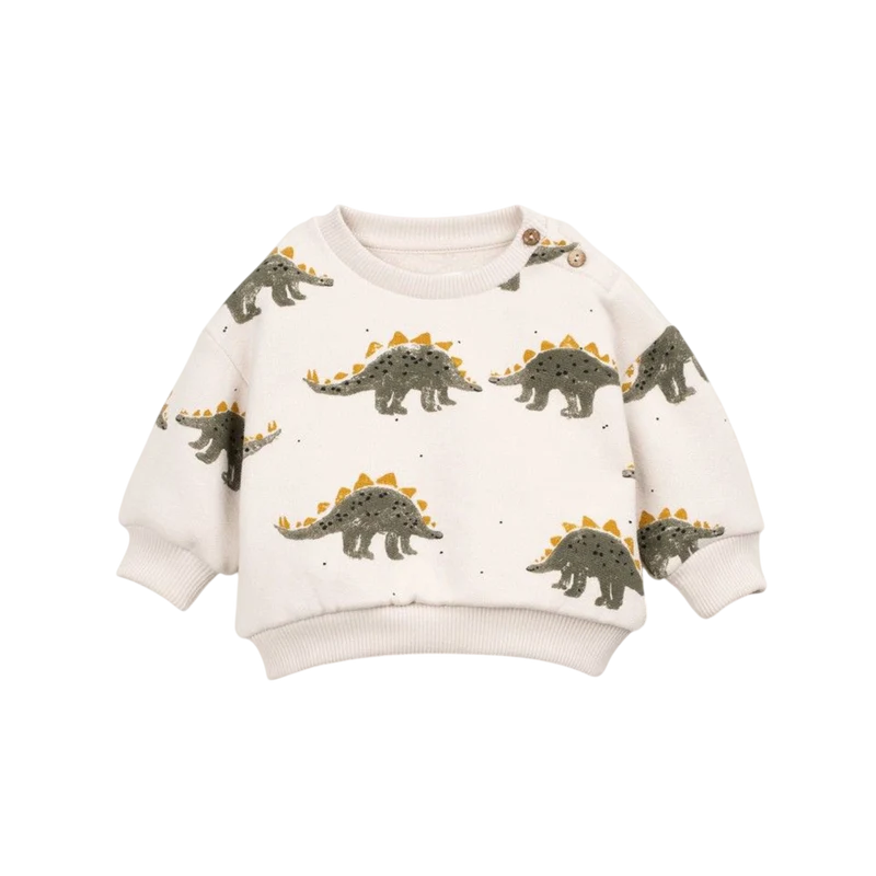 Baby Sweatshirt Dino