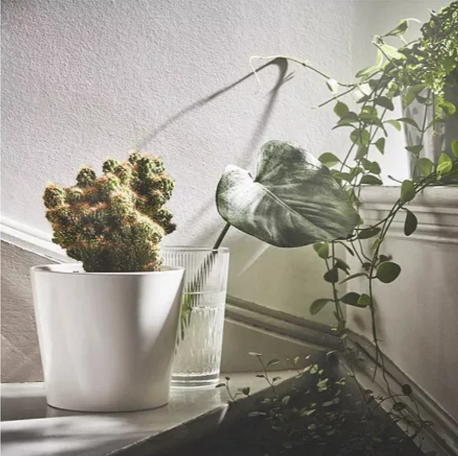 SOJABONA Flowerpot, white, 15 cm